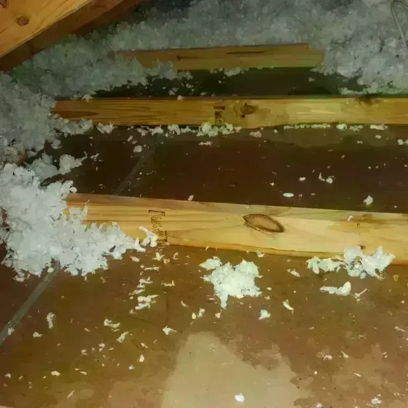 Attic Water Damage in Aitkin, MN